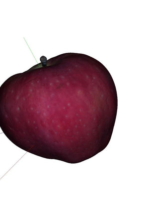 Apple Richard (proper name – no description)