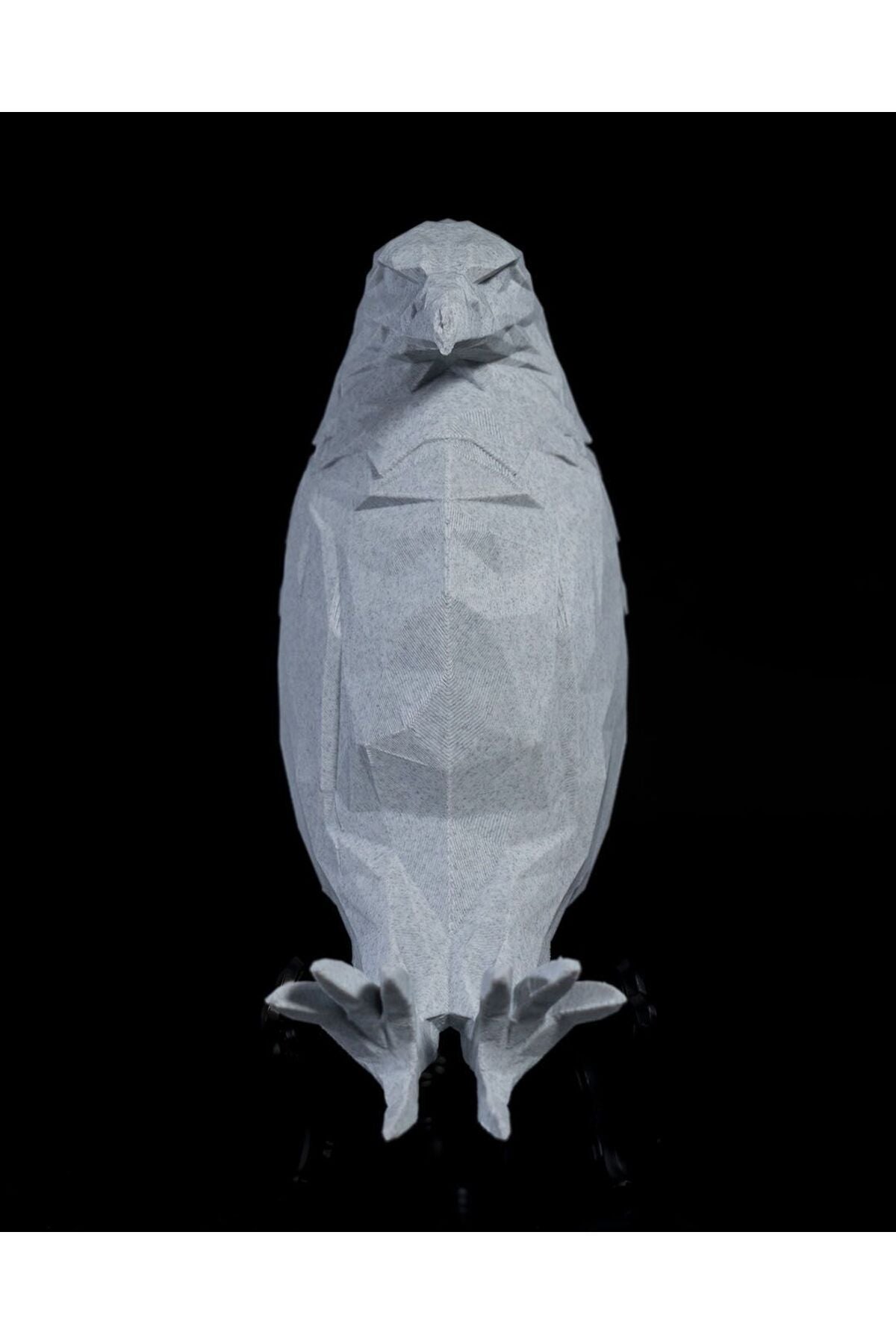 Kartal Elegant Duvar Lambası Aplik (20 CM BOY)