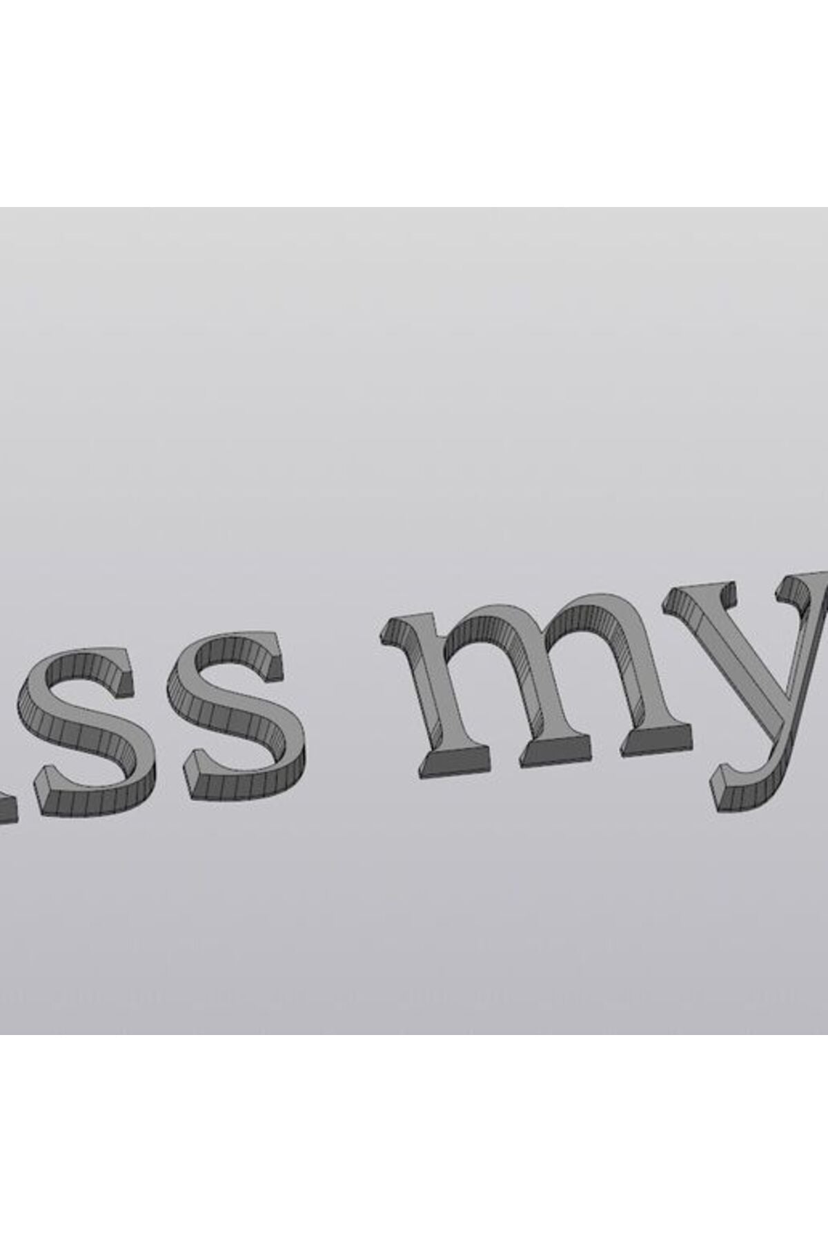 Bagaj yazısı (Kiss my S@)