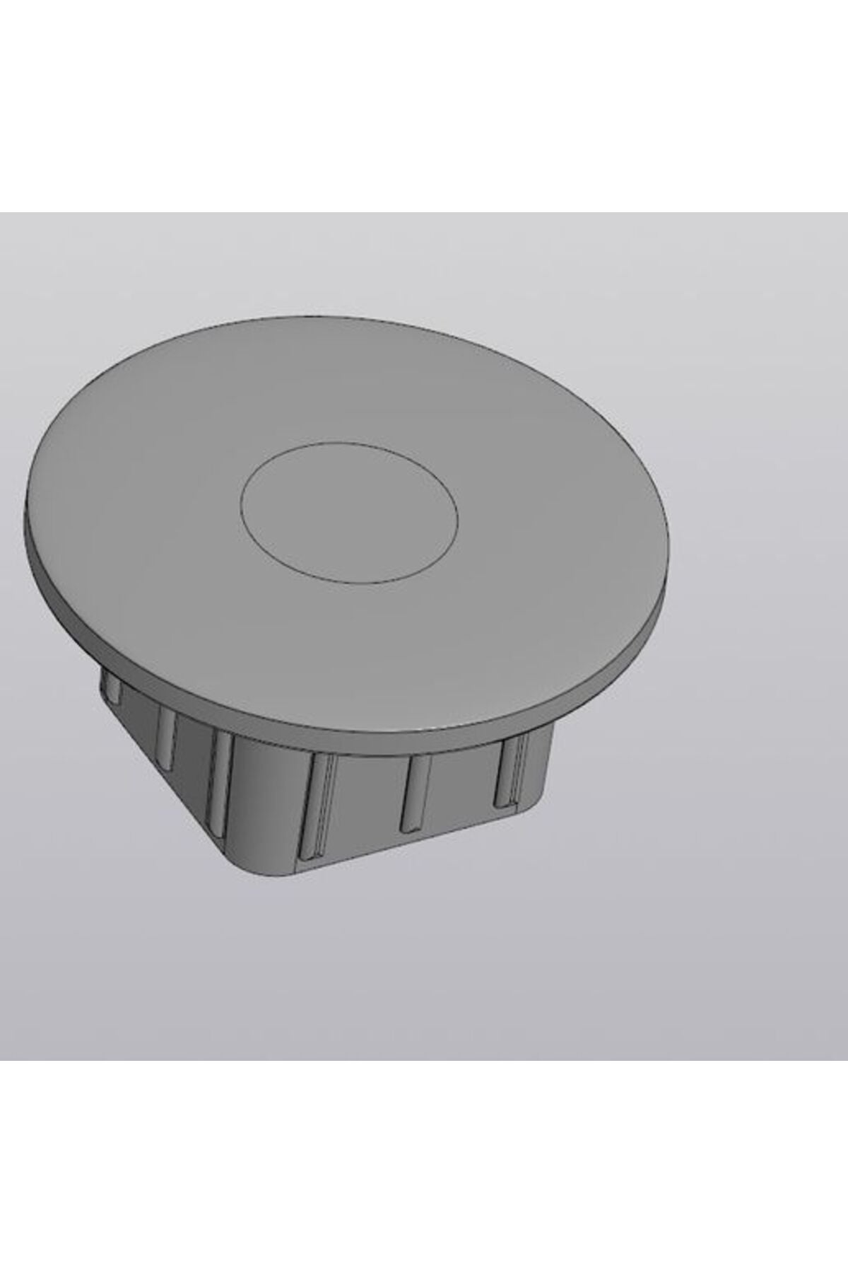 Renault Megane plug