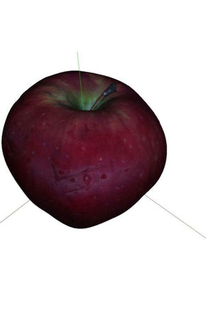 Apple Richard (proper name – no description)