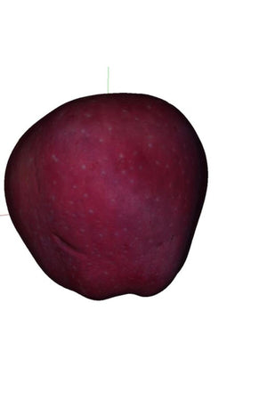 Apple Richard (proper name – no description)