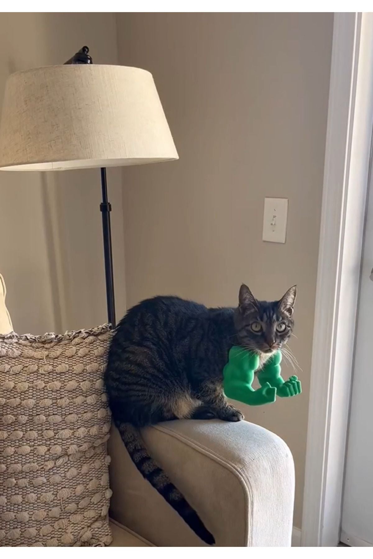 Cat Hulk Arm