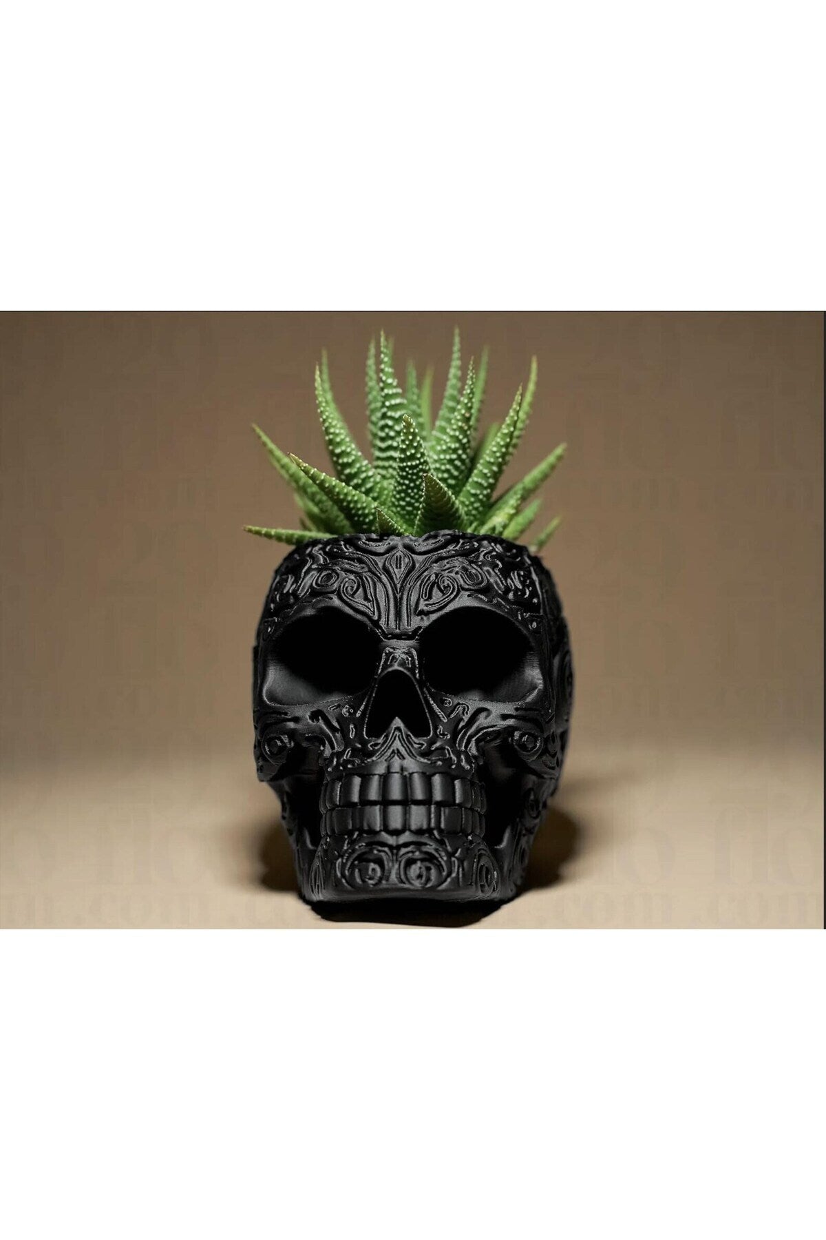 Gotik Kafatası Saksı