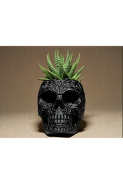 Gotik Kafatası Saksı