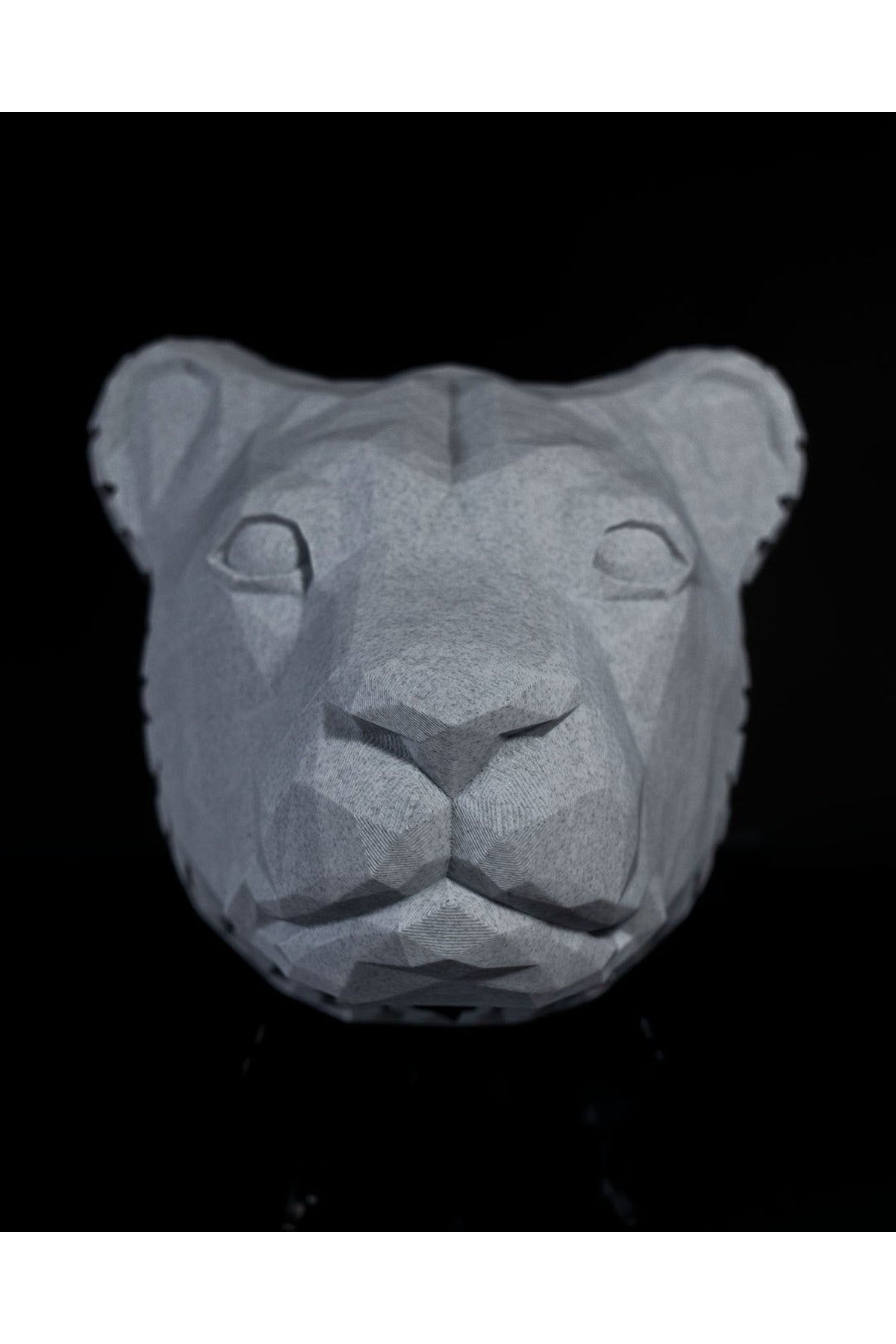 Aslan Gece Lambası, Aplik Özel Tasarım