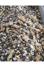 1 Kg European Mixed Parrot Food - Bird Food -