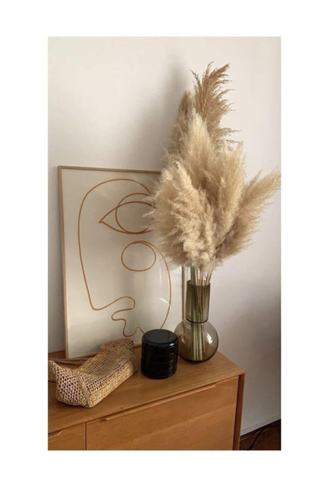 10 Pieces Natural Pampas Grass 50 Cm - Swordslife