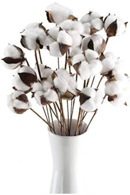 10 pcs Natural Cotton Branches - Swordslife