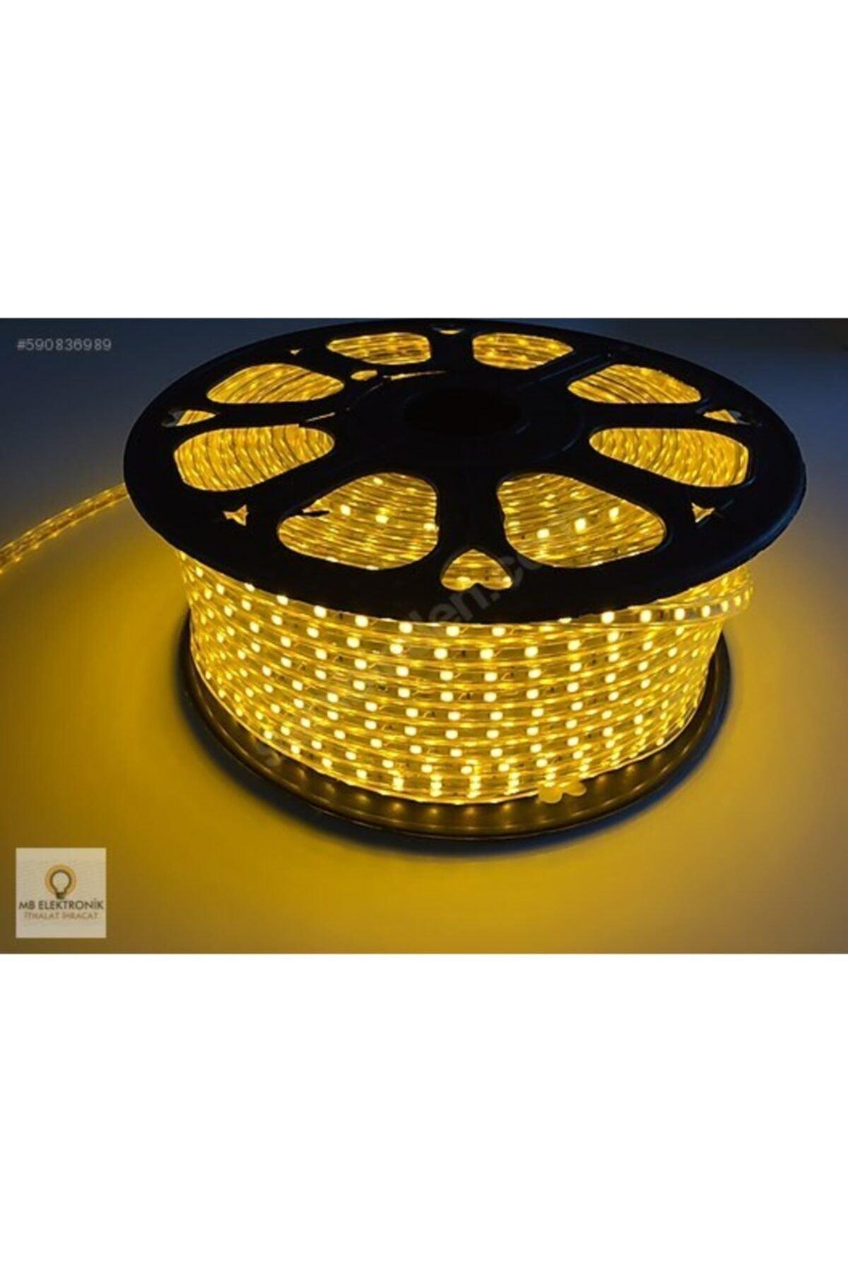 10 Meter Amber Hose Led 220 Volt