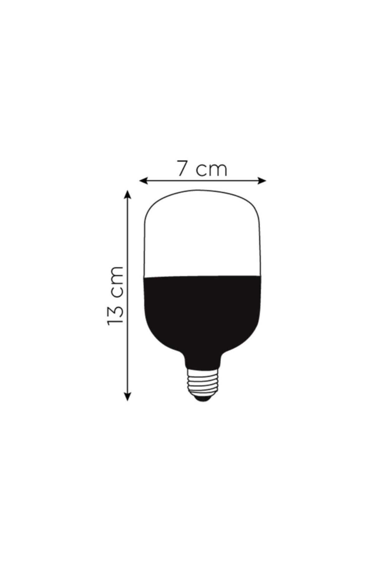 10 Pack 15 Watt Torch Bulb White Light