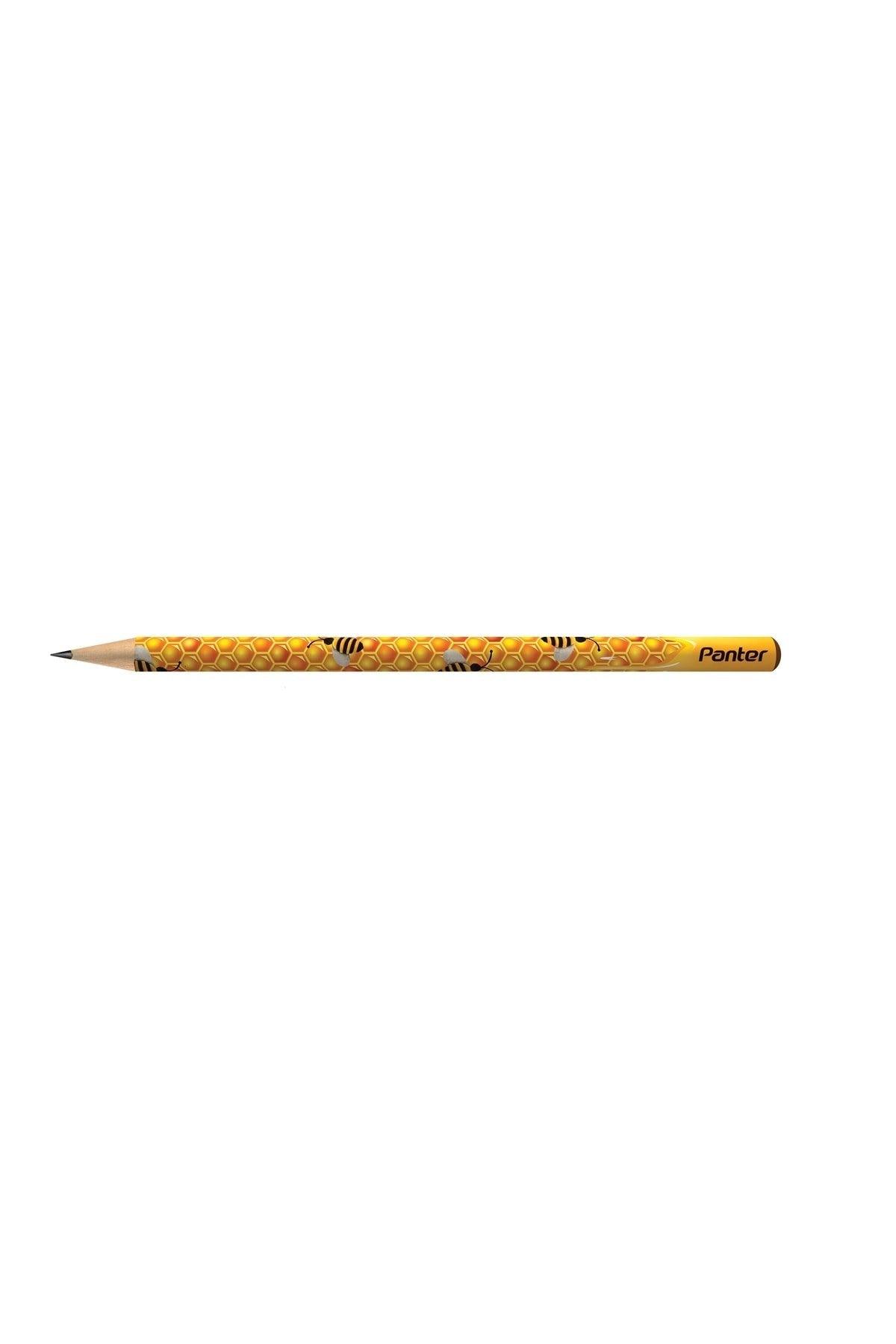 12 Bee Patterned Pencils