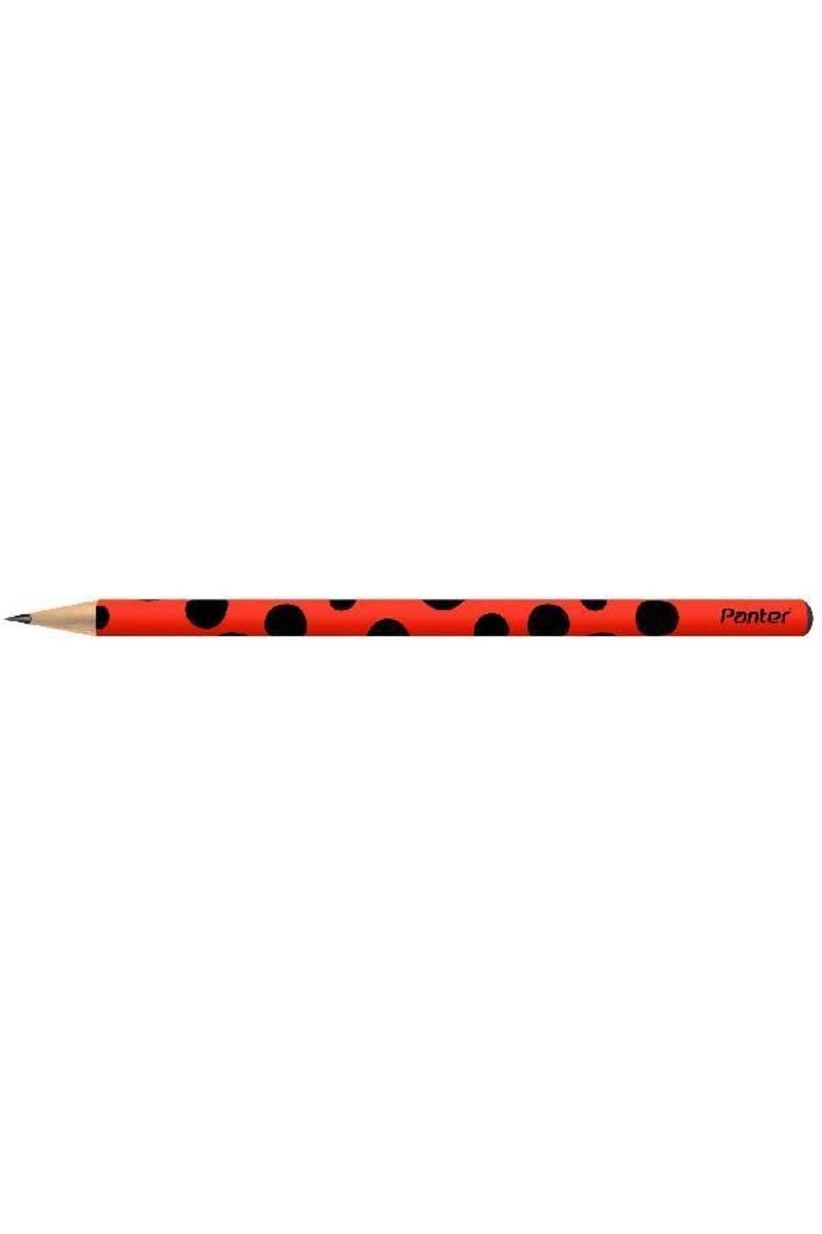 12 Pack Ladybug Pattern Pencils