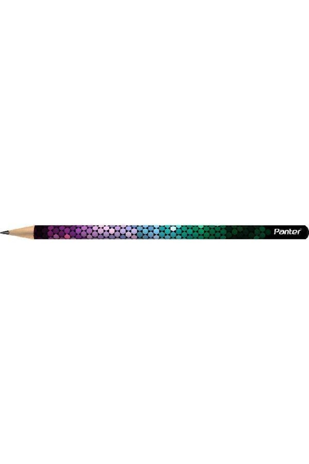 12 Pack Ladybug Pattern Pencils