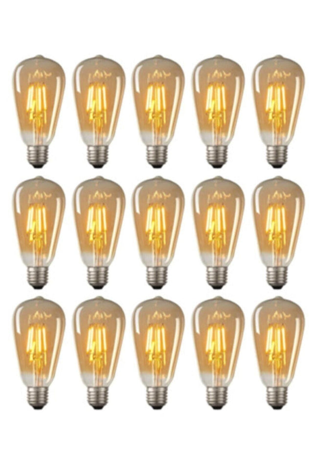 6w Rustic Bulb with 15