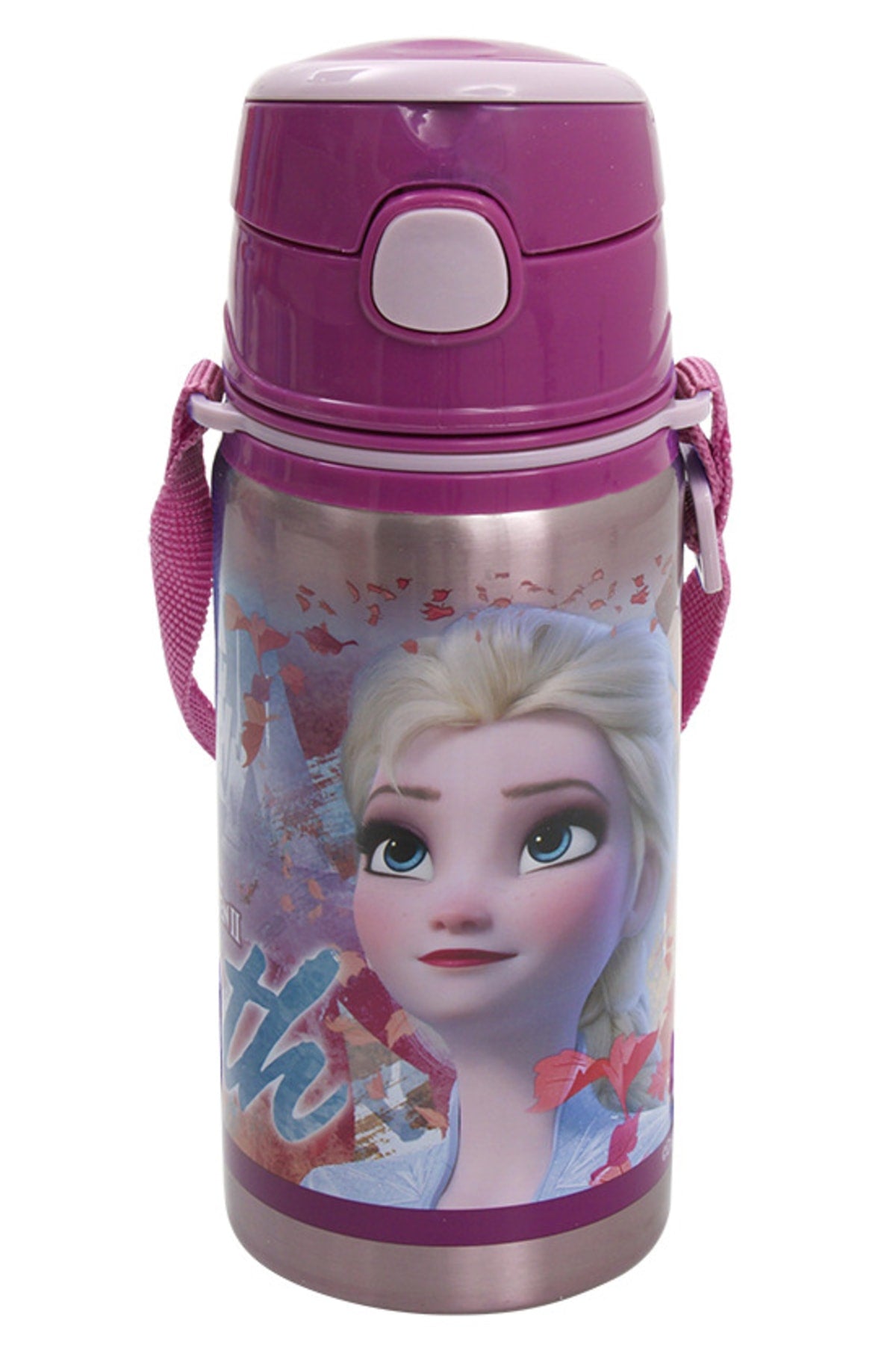 Frozen Steel Flask Salto 500 Ml Hıdden Truth