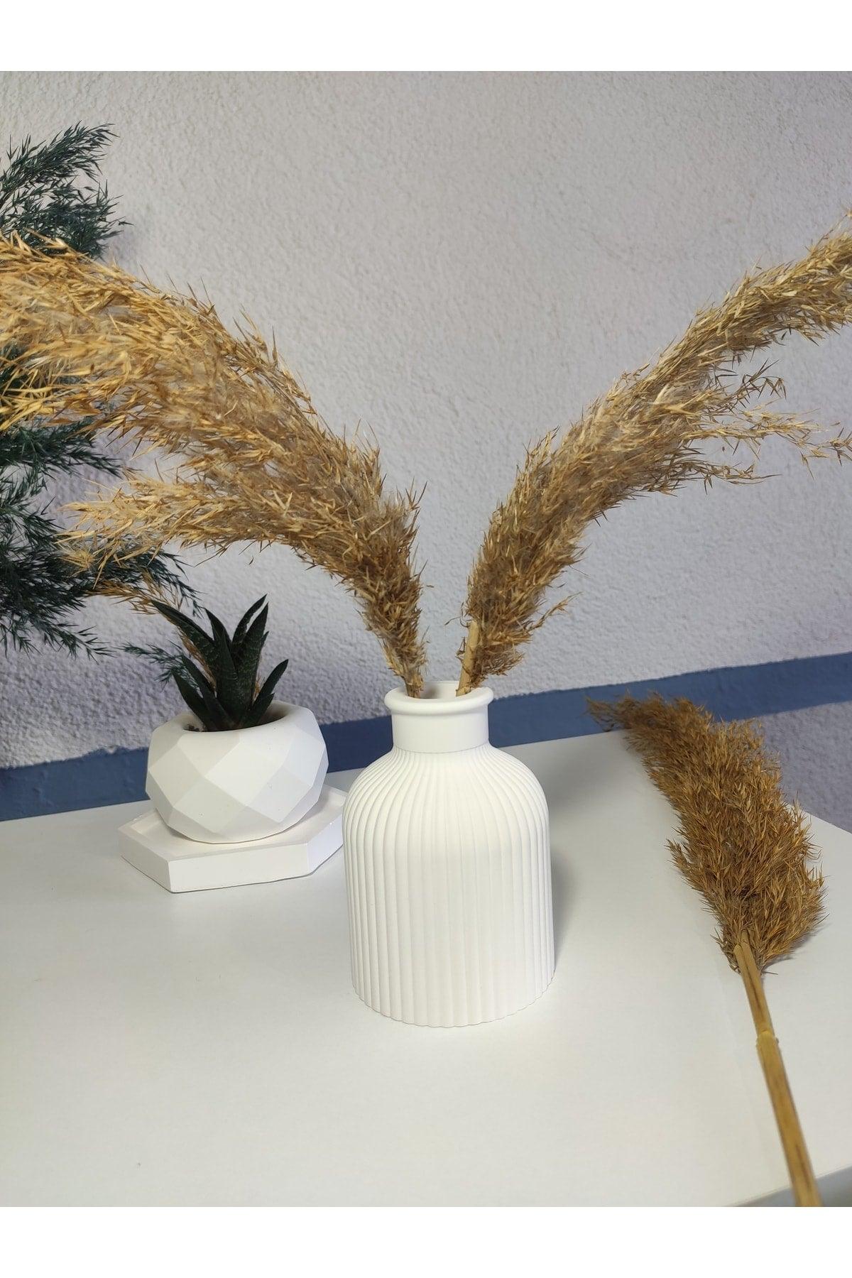 Pampas Vase, Patterned Vase - Swordslife