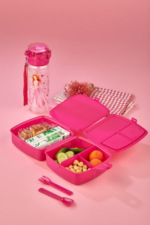 2 Layer Lunch Box With 4 Compartments With Self Spoon And Flask Princess With 500 Cc Pipette