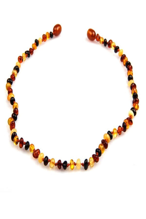 Amber Baby Teeth Necklace With Original Certificate