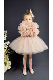 Chiffon Robe Pompom Sleeve Sequined Girls Fluffy Skirt Tulle Evening Dress Powder