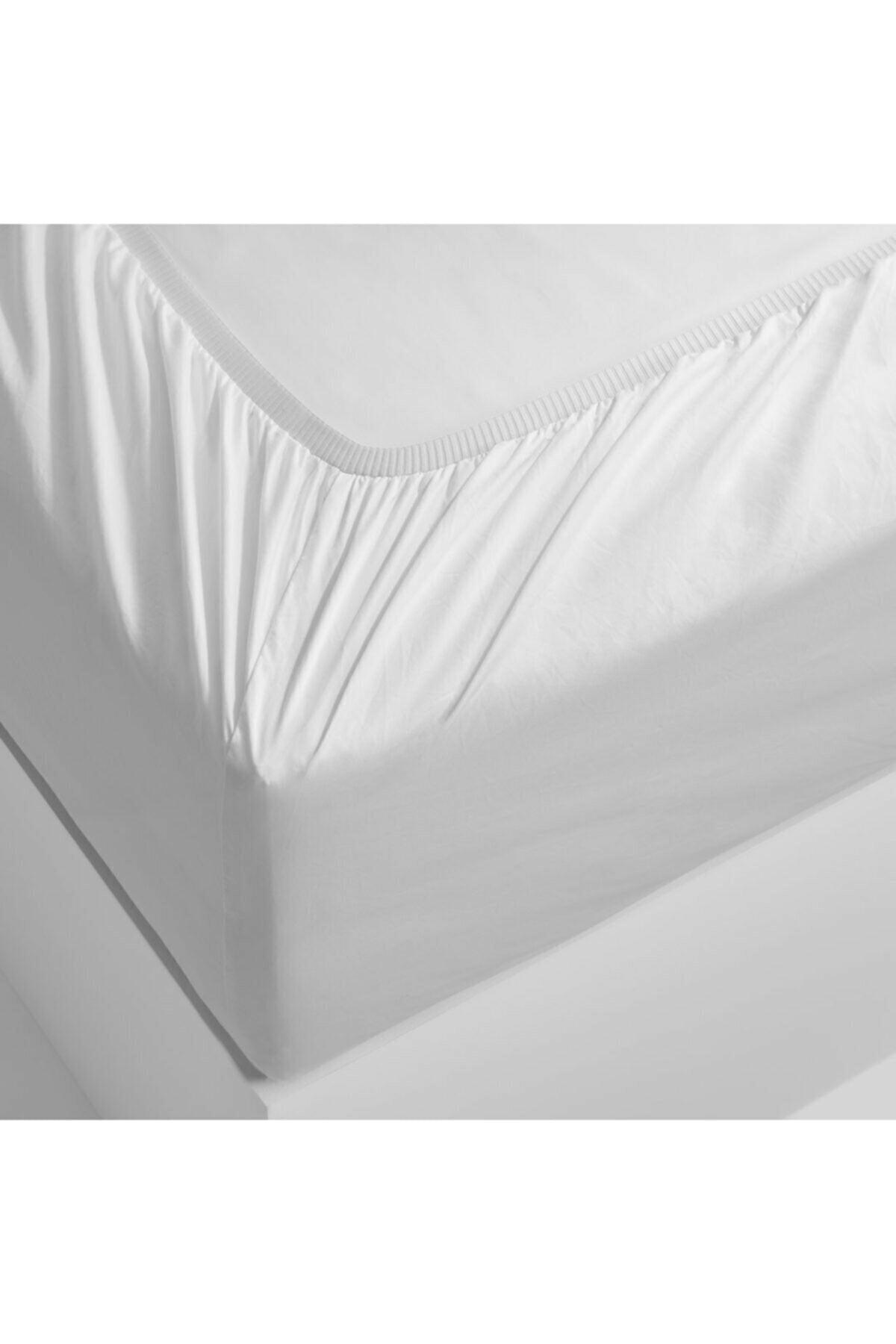 Double Elastic Combed Cotton Bed Sheet Double White - Swordslife