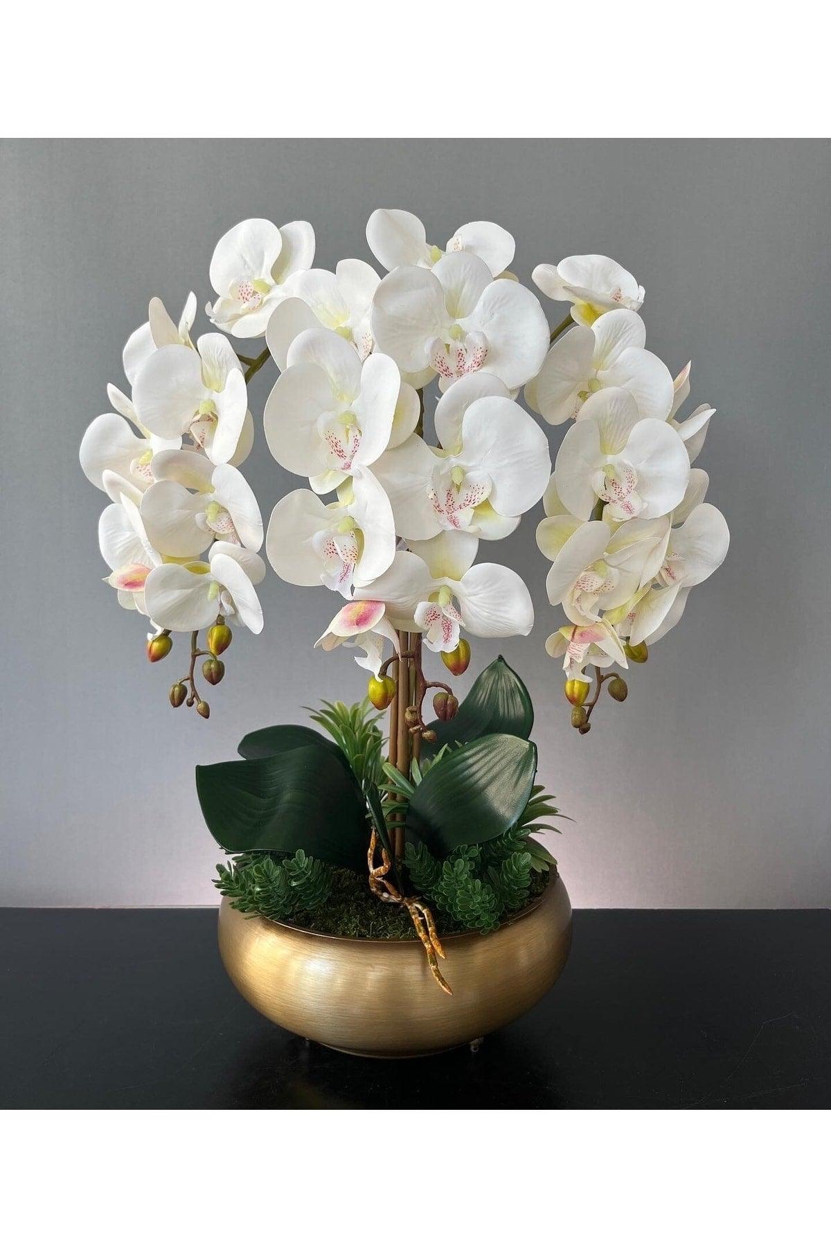 Artificial Wet 3 Orchid Arrangement Ufo Tumbled Matt Gold Pot - Swordslife