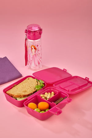 4 Compartments 2 Layer Lunch Box With Self Spoon And 500 Cc Pipette Flask Princess