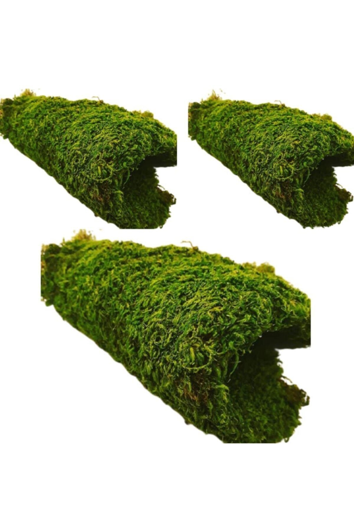 Ysn1 Natural 3 Pieces (30X20)Cm Rock Moss Real Plant Does Not Deteriorate