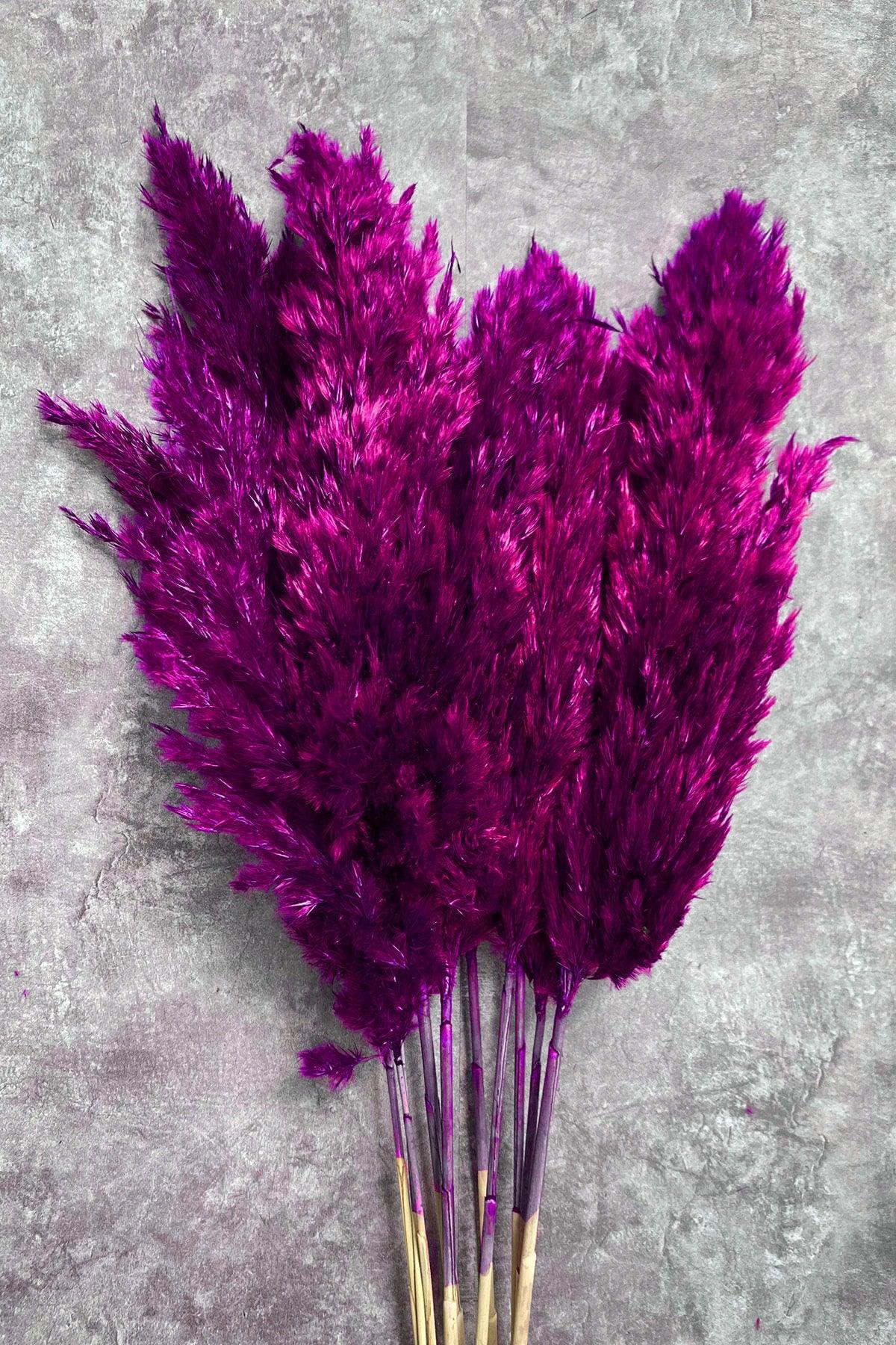 Shocked Pink Pampas Bundle of 10 - Swordslife