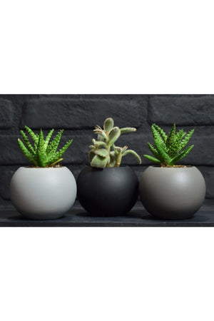 3-Ball Flower Pot Black White Gray Cactus Succulent Pot - Swordslife