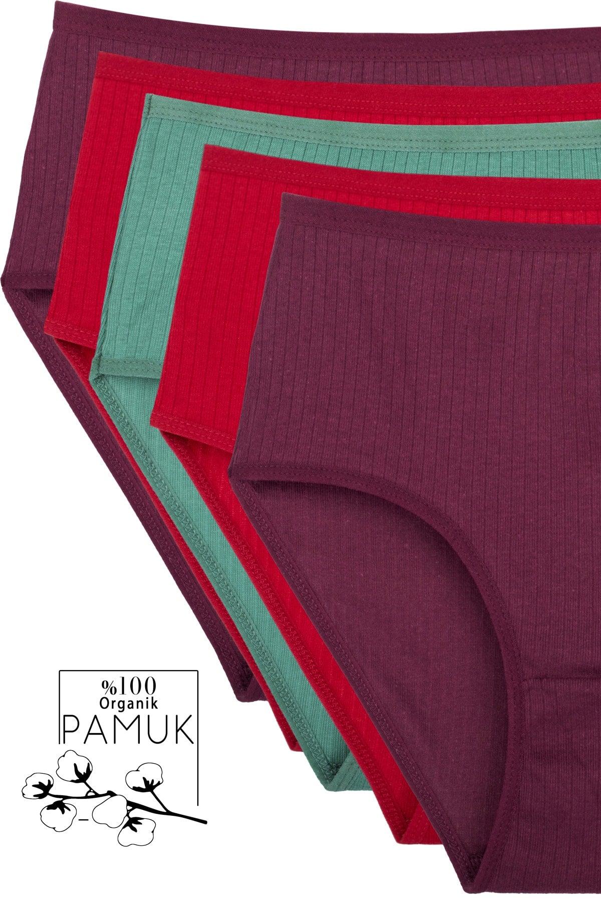 5-pack Mixed Women's High Waist Ribbed Panties Plum, Green, Claret Red Bt2-a5 - Swordslife