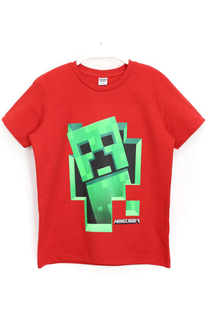 Boy Red Printed T-Shirt
