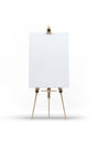 Blank Canvas High Quality Back Staple Lined (SIZE OPTION) - Swordslife