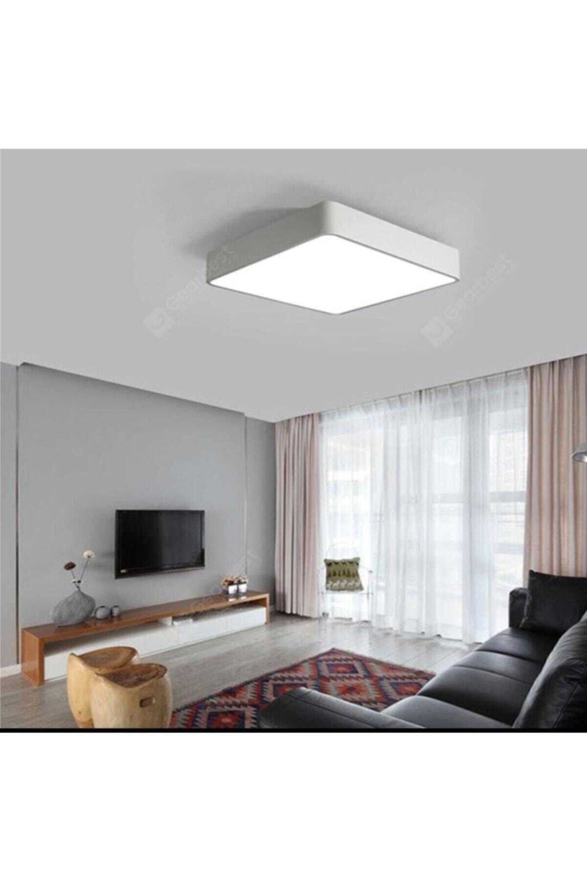 Wall-Mounted LED Panel – 3000K Daylight + Blue