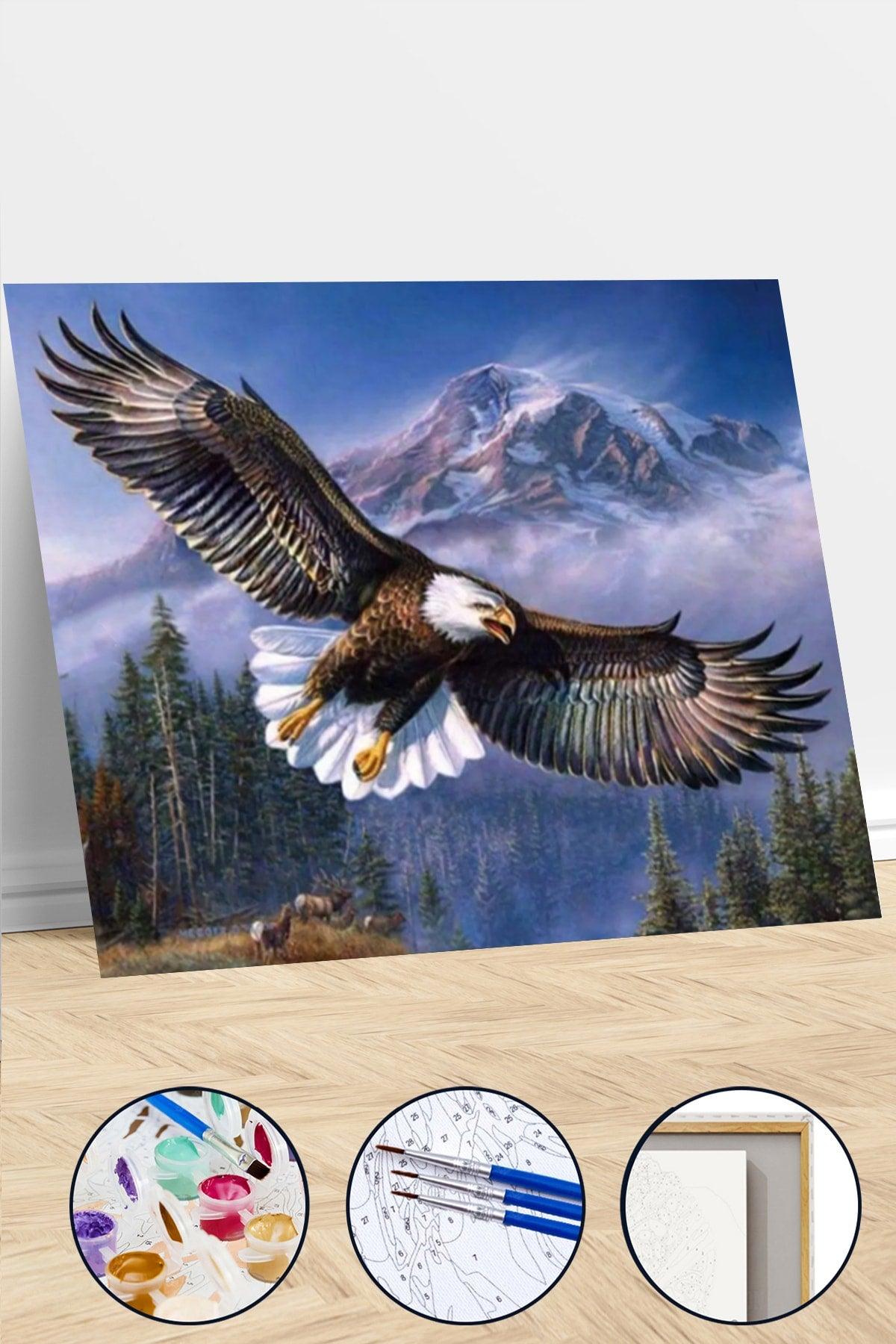 Eagle in the Sky Color by Number Set with Pulley - Swordslife