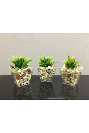 Succulent Artificial Succulent Succulent Artificial Flower in 3 Pack Pebble Pot 6cmx9cm - Swordslife