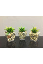 Succulent Artificial Succulent Succulent Artificial Flower in 3 Pack Pebble Pot 6cmx9cm - Swordslife