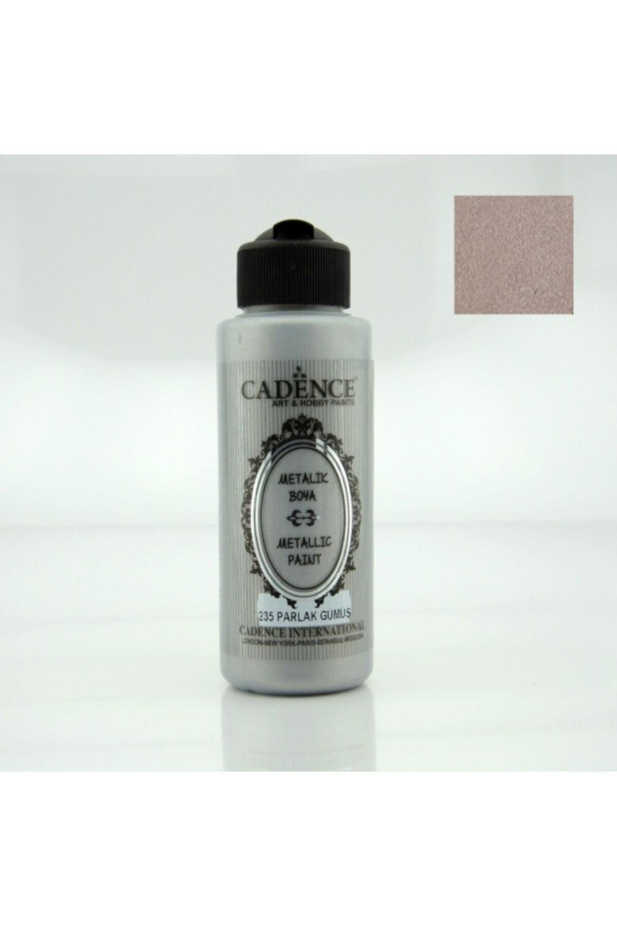 235 Glossy Silver 120ml Metallic Paint