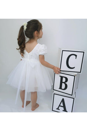 Watermelon Sleeve Embroidered Tutu White Kids Dress (Must Read Product Description)