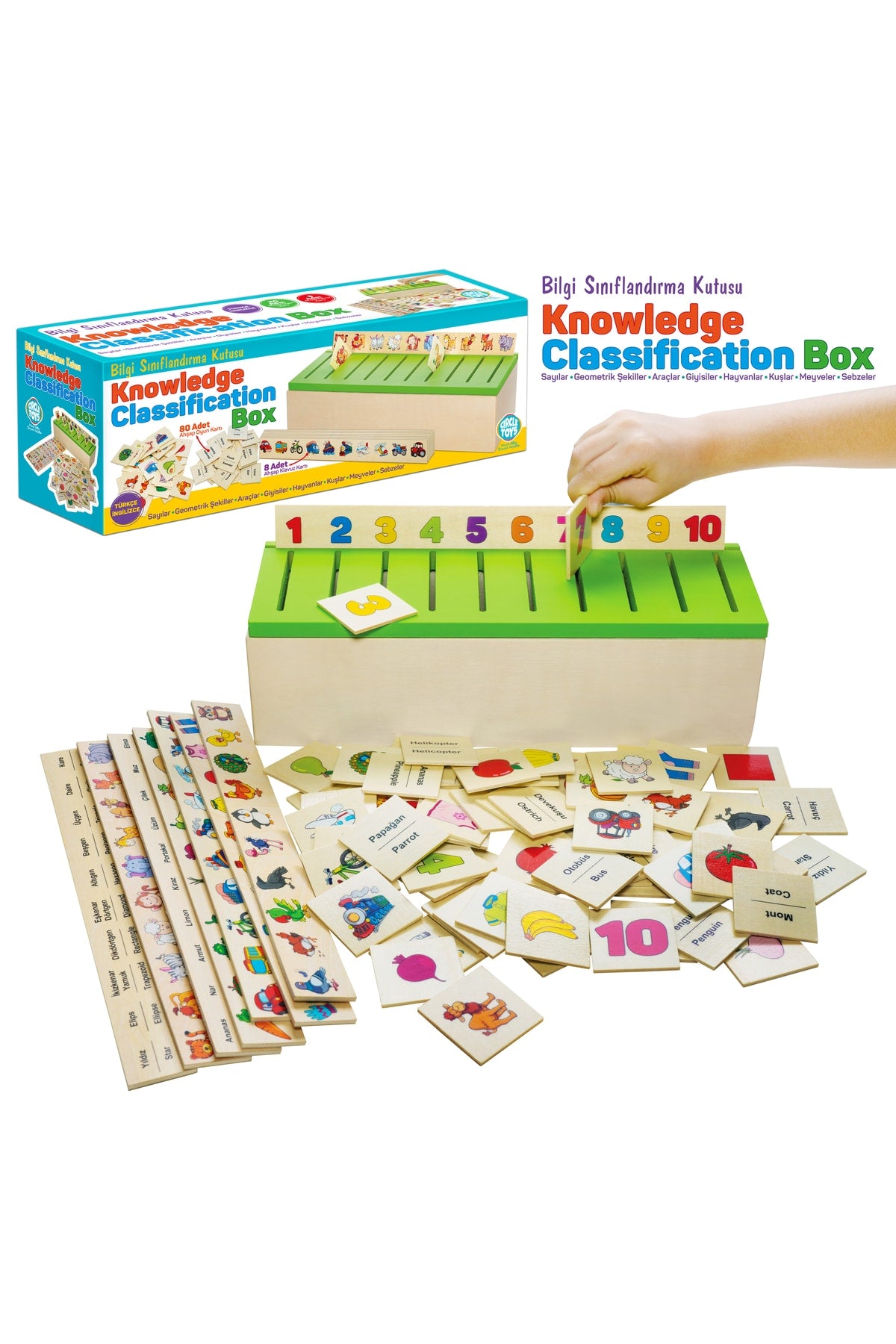 Wooden Knowledge Classification Box Educational Loop Toy 88 Pieces Knowledge Classification Box