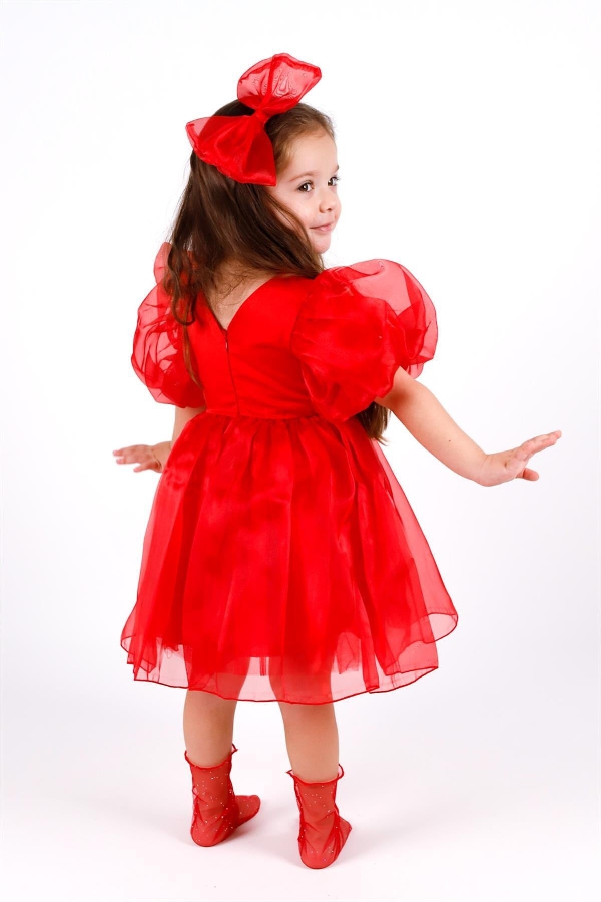 Red Crown Organza Girl's Party Dress -