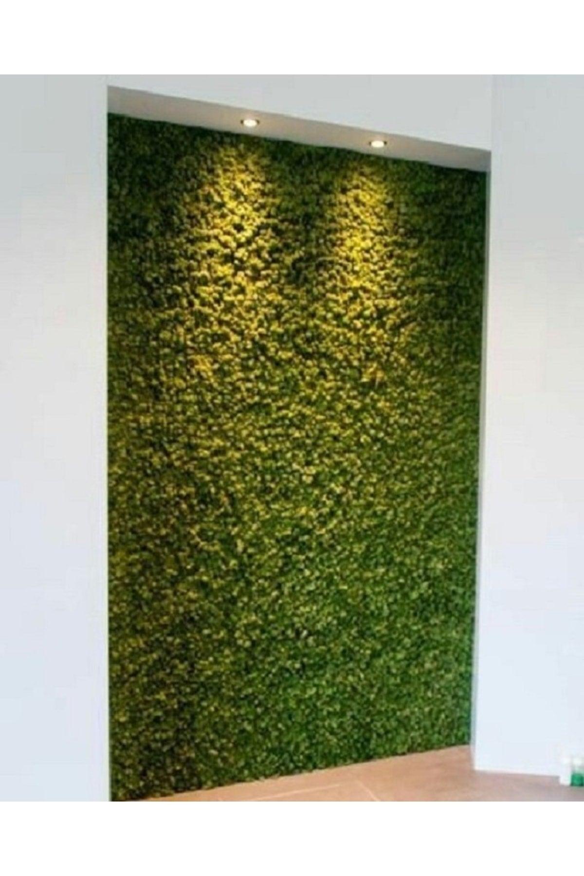 10 Pieces Artificial Plant Wall Covering Panel Boxwood Layer 40x60 Cm Green Vertical Garden - Swordslife