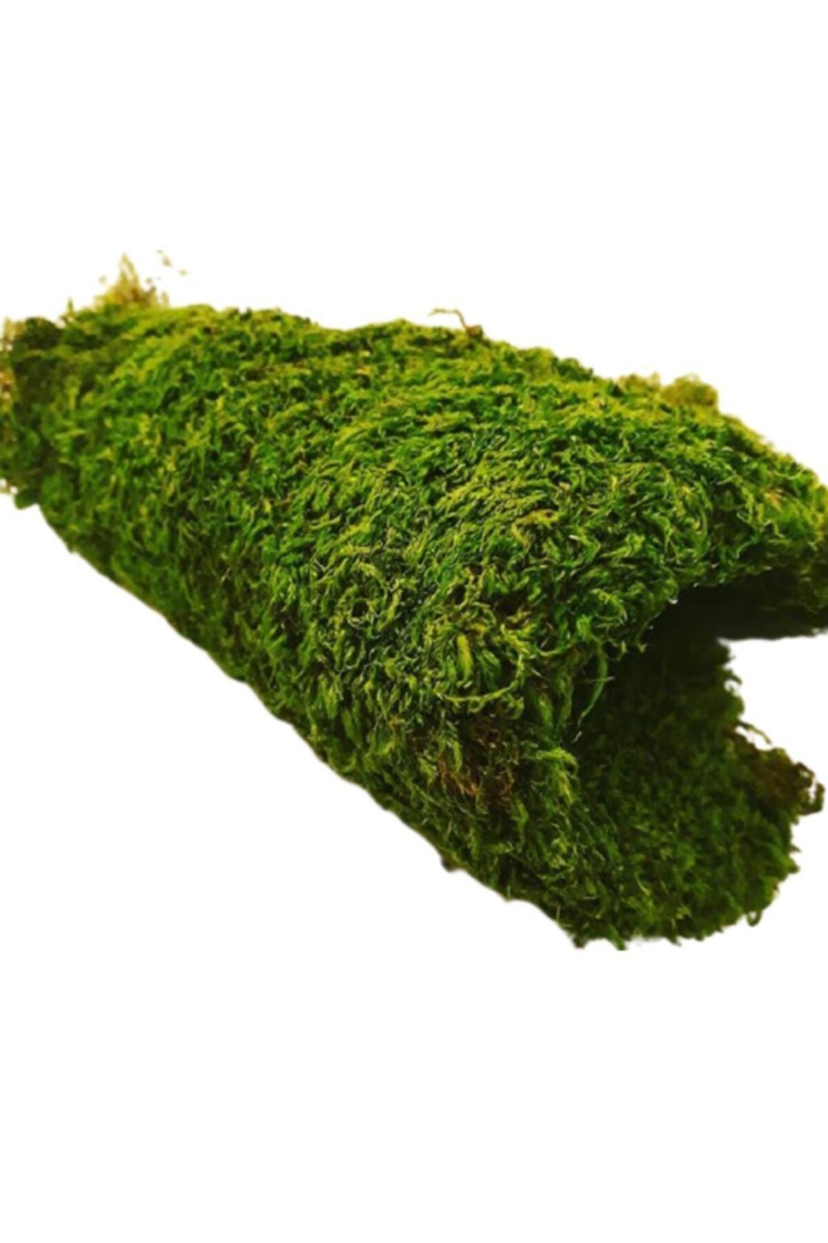 Ysn1 Natural 3 Pieces (30x20)cm Rock Moss Real Plant Does Not Deteriorate