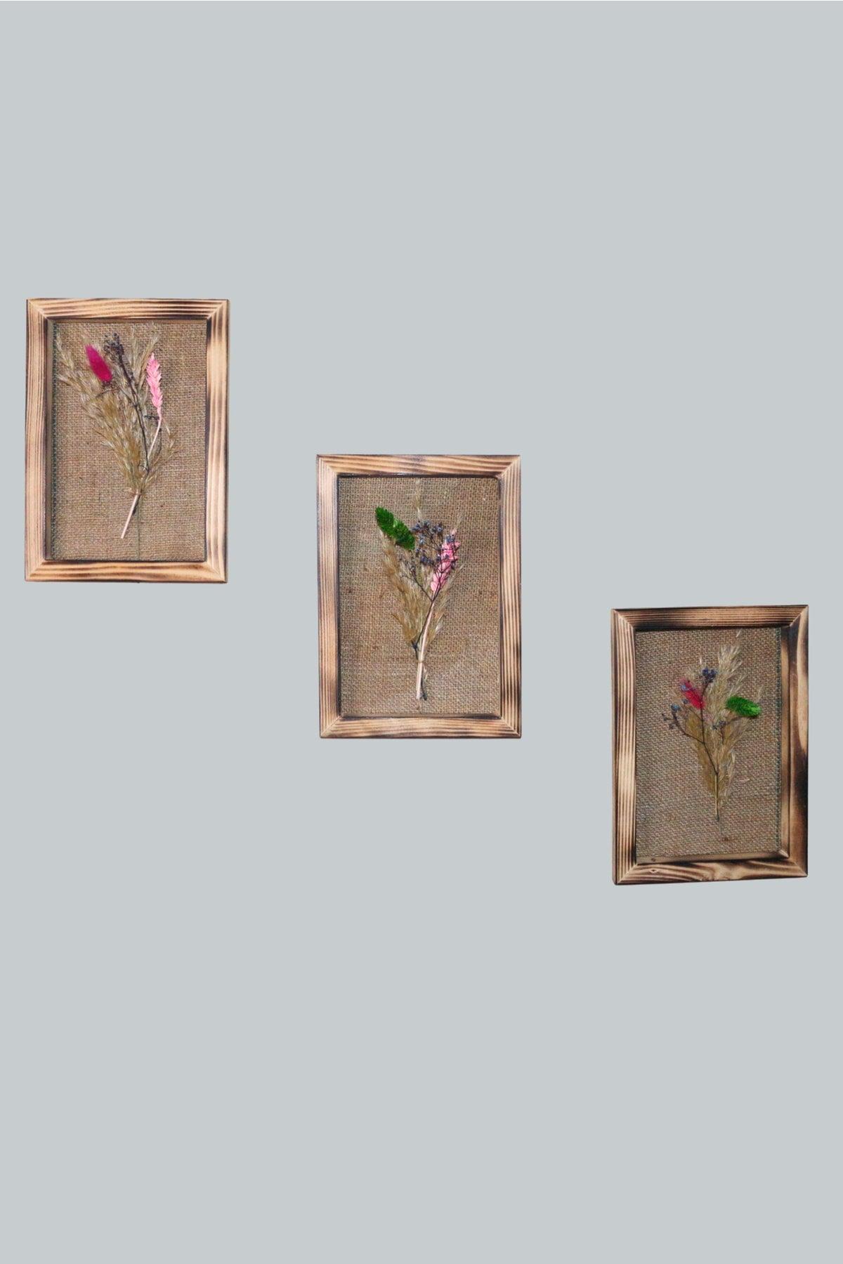 Dried Flower Canvas 3 Piece Wooden Frame Painting Set Pampas Wall Decorative - Swordslife