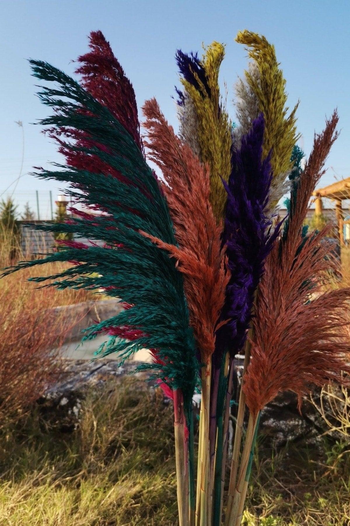 15 Pieces Decorative Mixed Pampas 100cm Tall - Swordslife