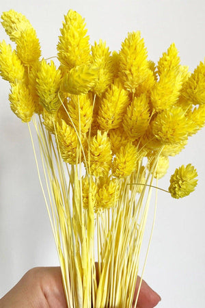 Dried Yellow Bird Grass Ornamental Vase Palaris Flower 30 Branch - Swordslife