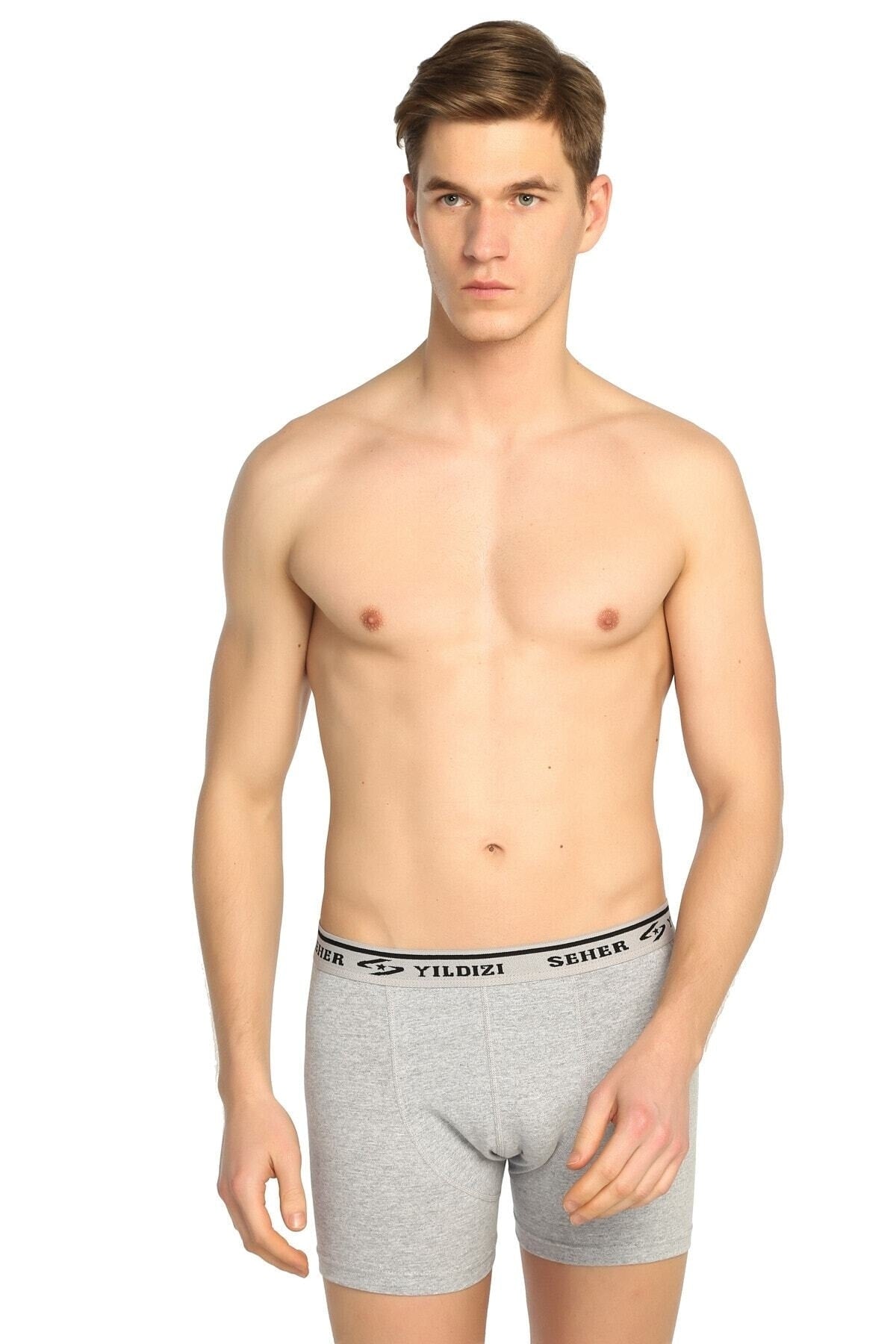 Men's Gray 6 Pack Lycra Boxer Elf568s0060ccm6 0060