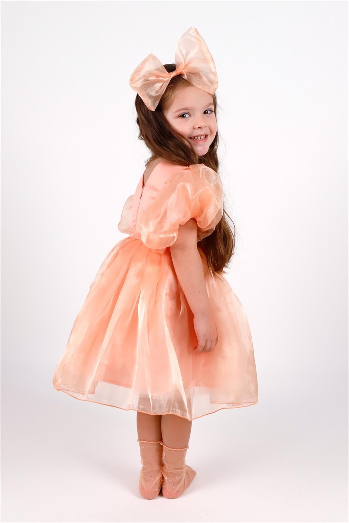 Salmon Crown Organza Girl's Party Dress - Carlene