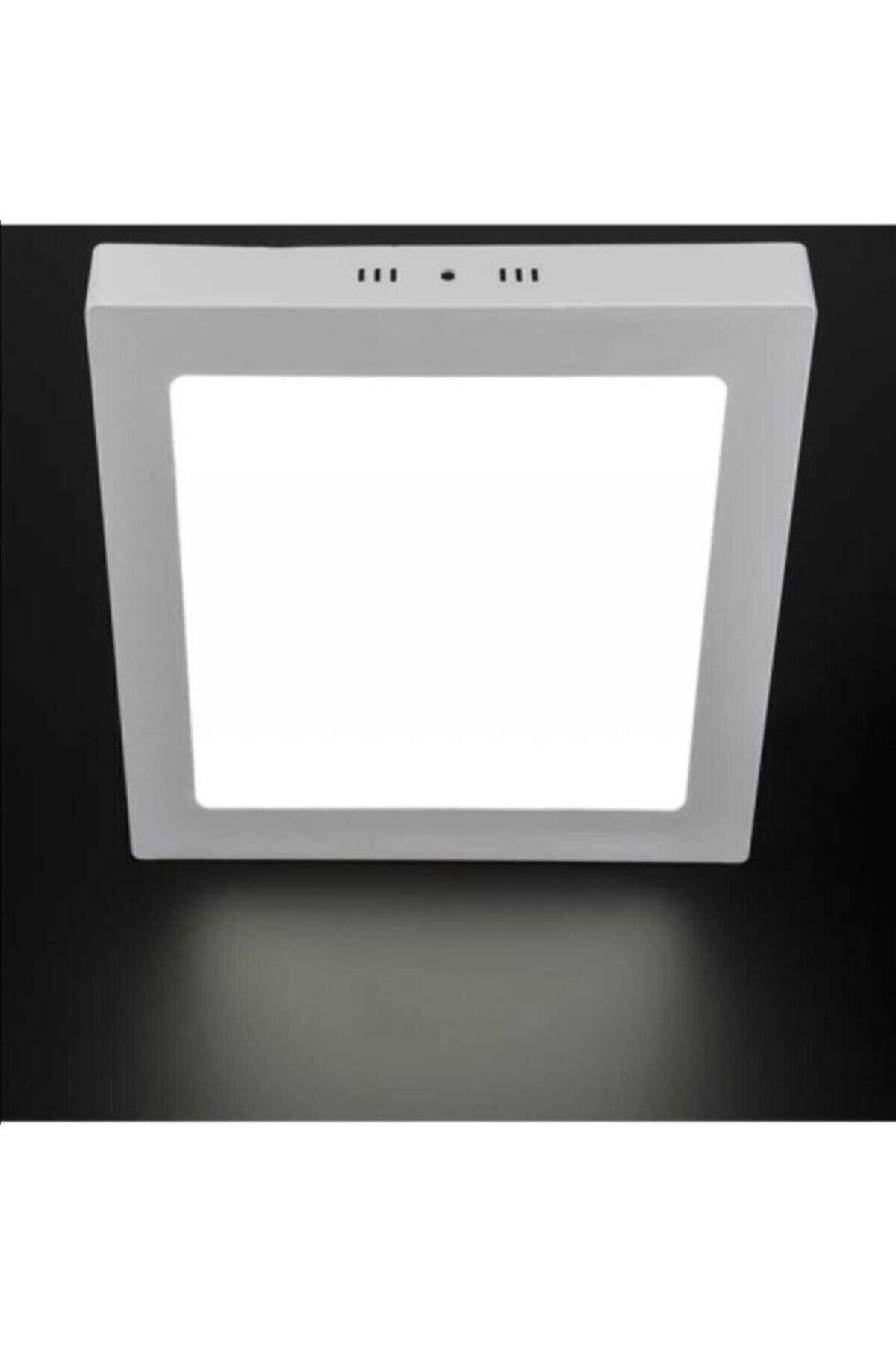 Wall-Mounted LED Panel – 3000K Daylight + Blue