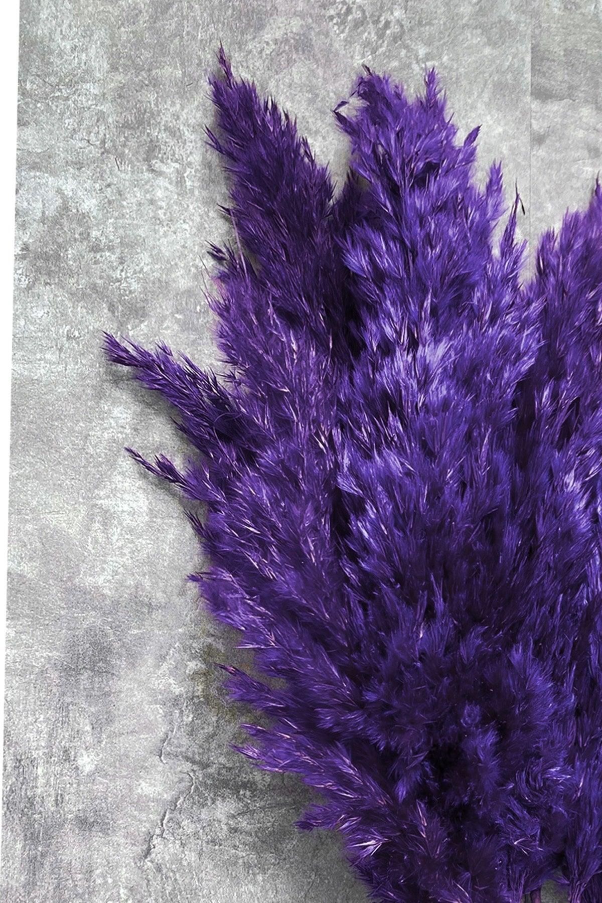 Shocked Purple Pampas Bundle of 10 - Swordslife